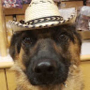 Meet your Posher, Marie